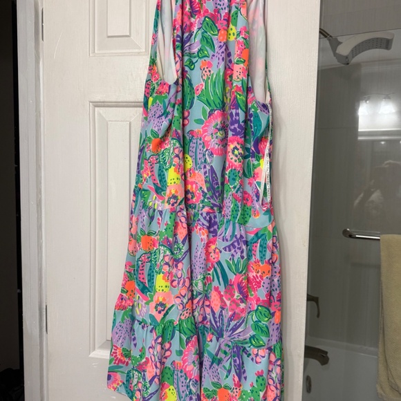 Lilly Pulitzer Carolane Dress - Picture 6 of 6